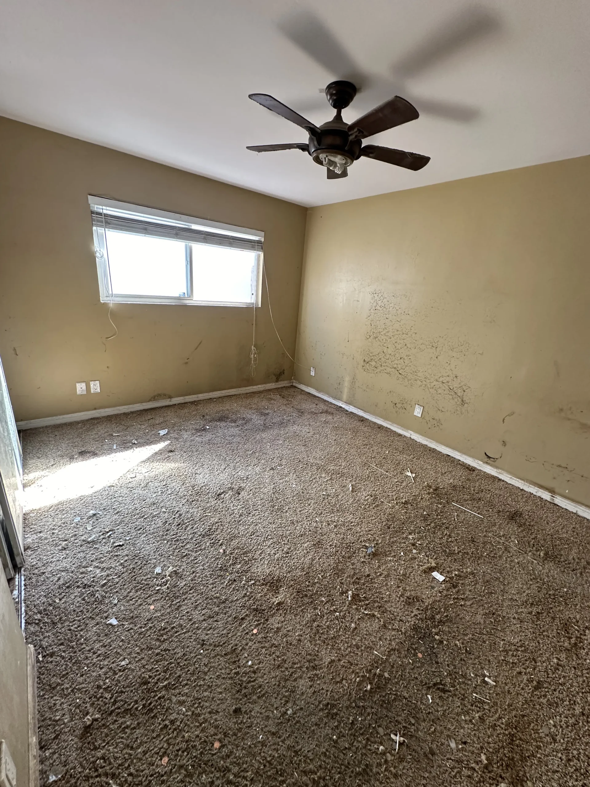 Mattresses & Bedding Junk Removal Empty, dirty room with brown walls.