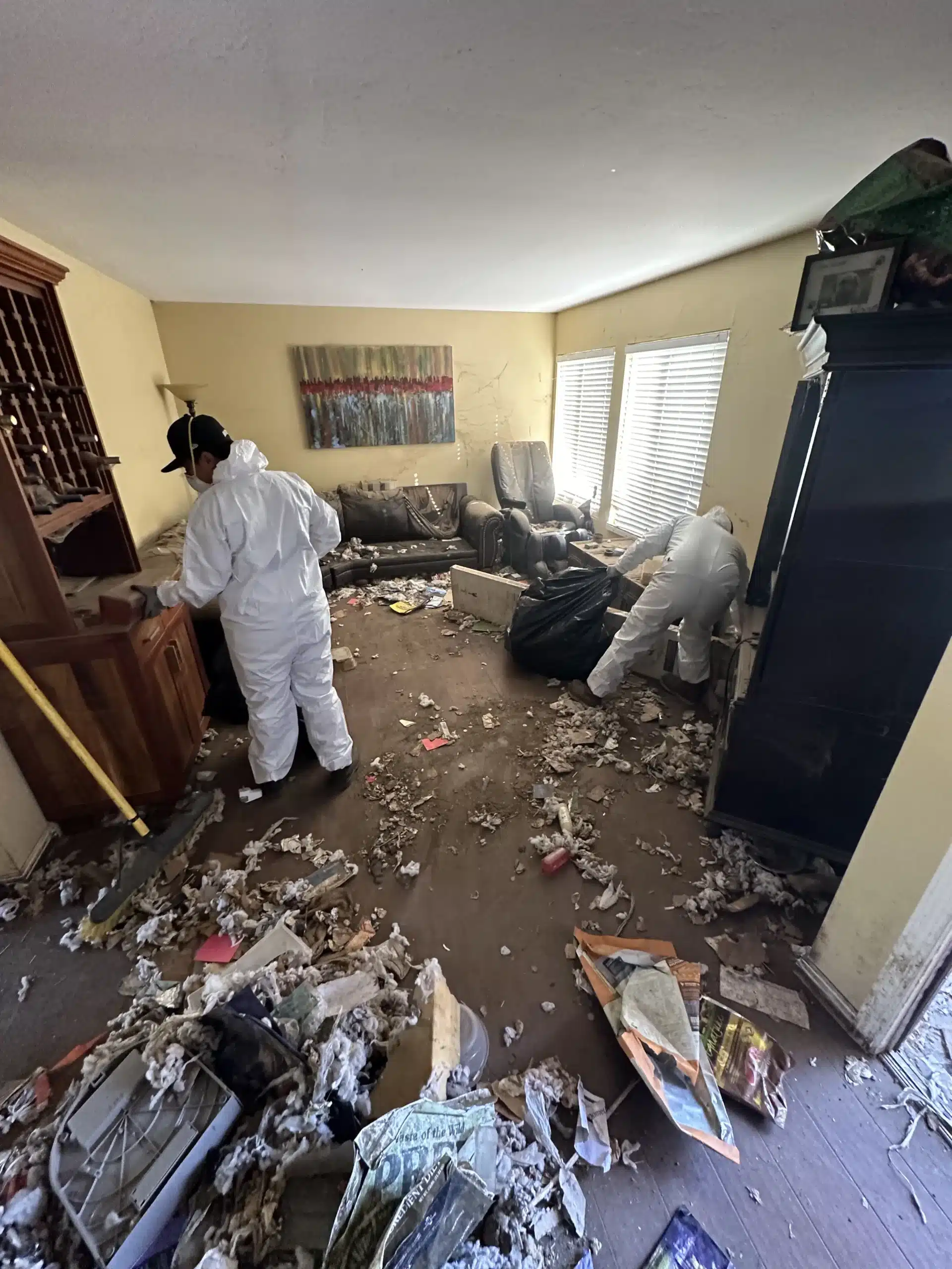 Apartment Cleanouts